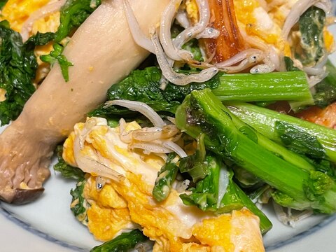 菜の花としらすとエリンギの卵炒め